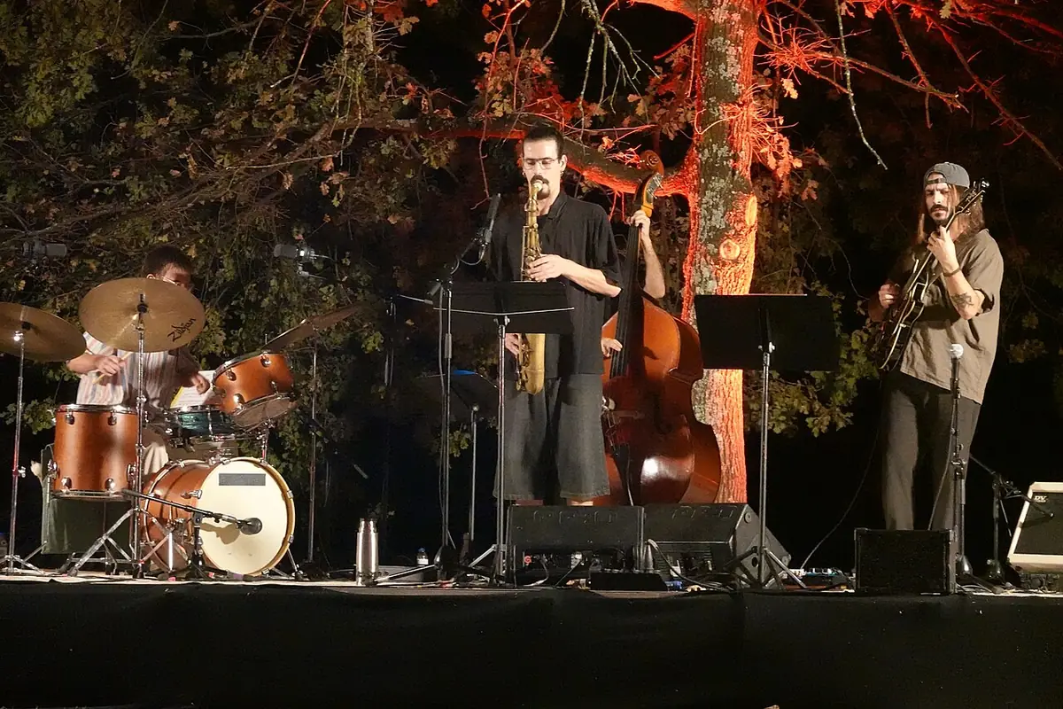 Jazz on the lawn
